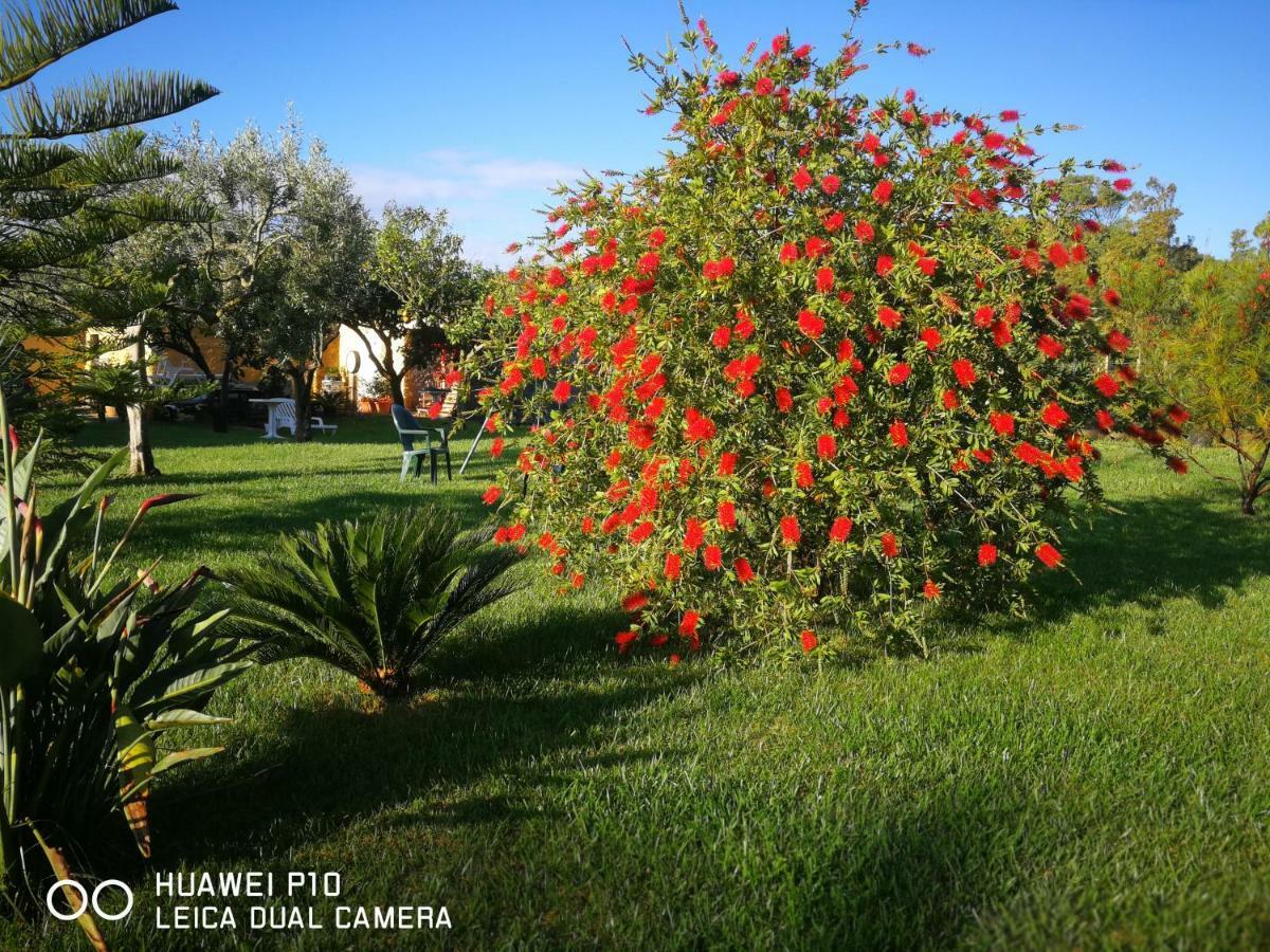 B&B Fiori Di Pesco Fertilia Buitenkant foto